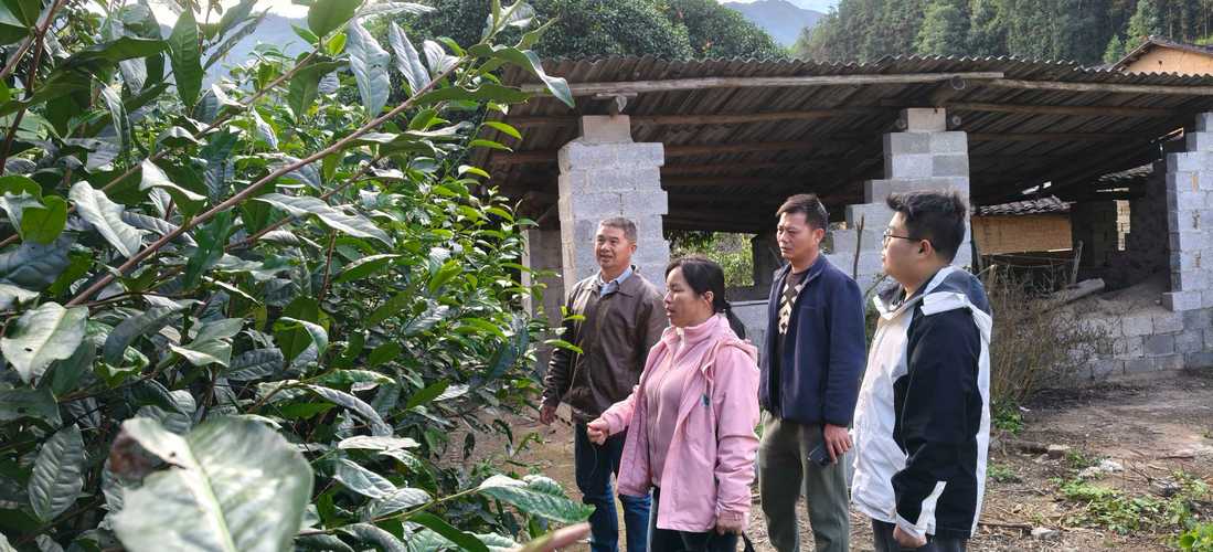广西茶叶创新团队柳州综合试验站科技人员到蒙山开展技术服务