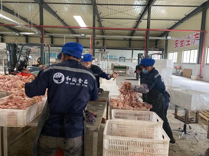 广西:技术服务催动农村土地"资源变资产"