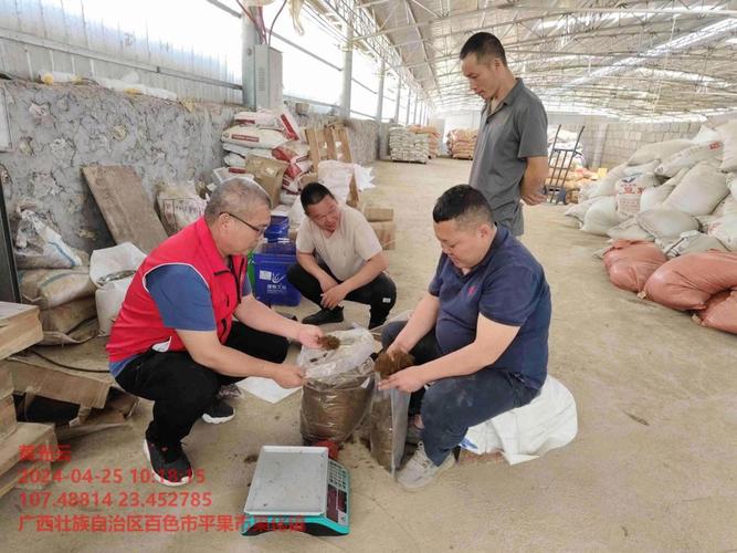 市和南宁市开展生猪饲养技术指导服务